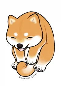 柴柴