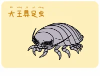 大王具足虫