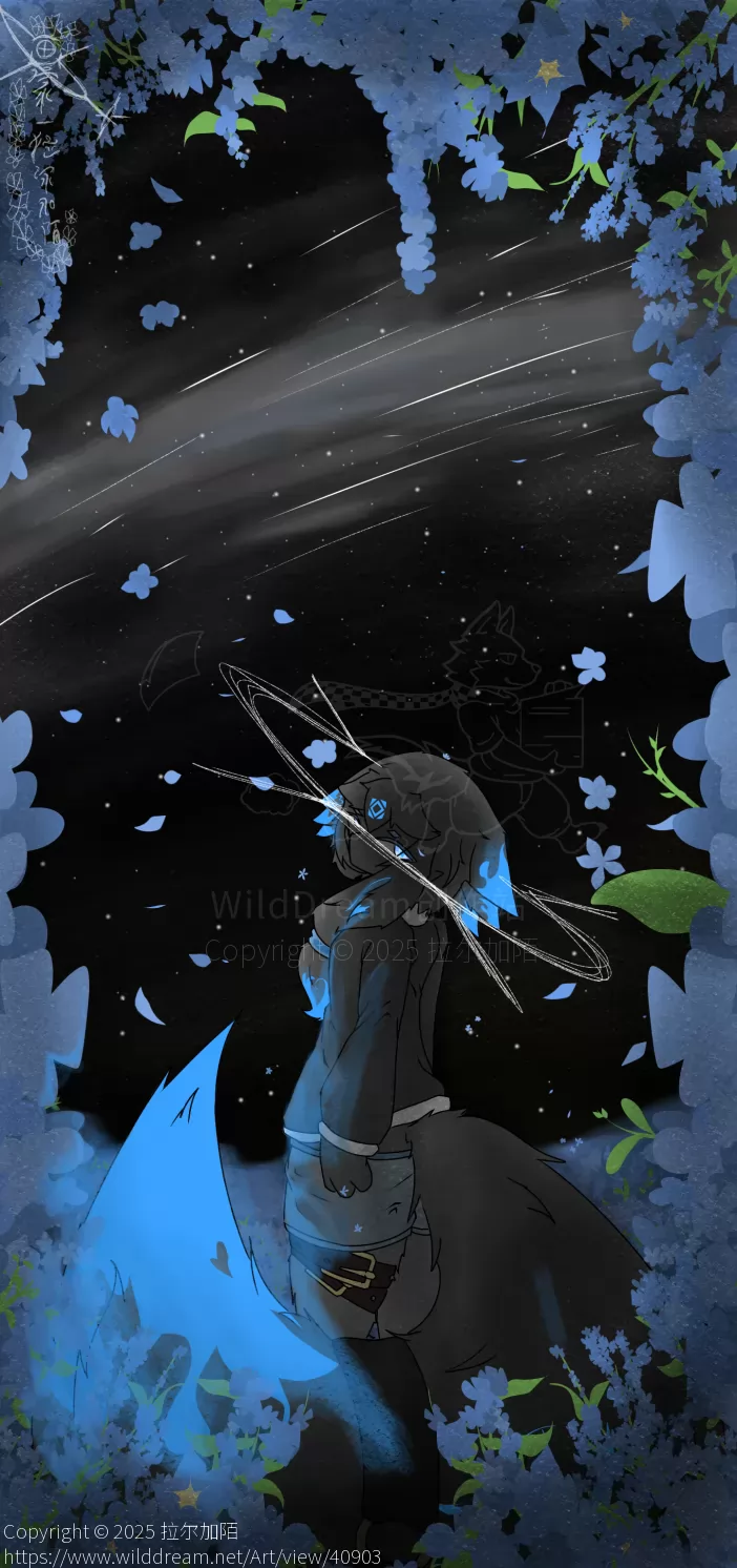 星空下的我 by 拉尔加陌