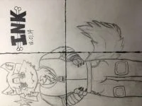 自行翻转