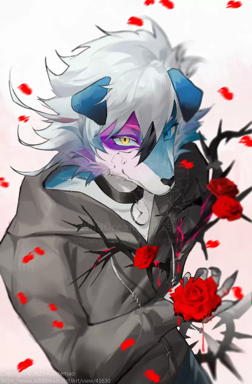 血色绽放 by KianYemao, furry, 兽人, OC