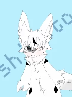 nwn