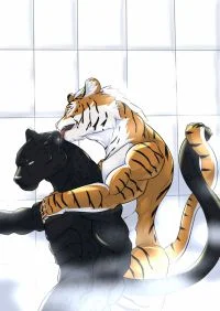 大佬组
