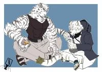 尾巴会谈