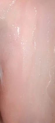 抓根宝