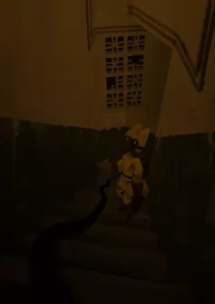 楼道
