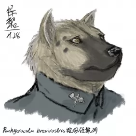 「自设绘画」硕鬣狗医官 by 憬韶懷真