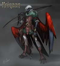 Kriqaan by Bleats