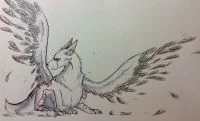 image by 契约黑狼