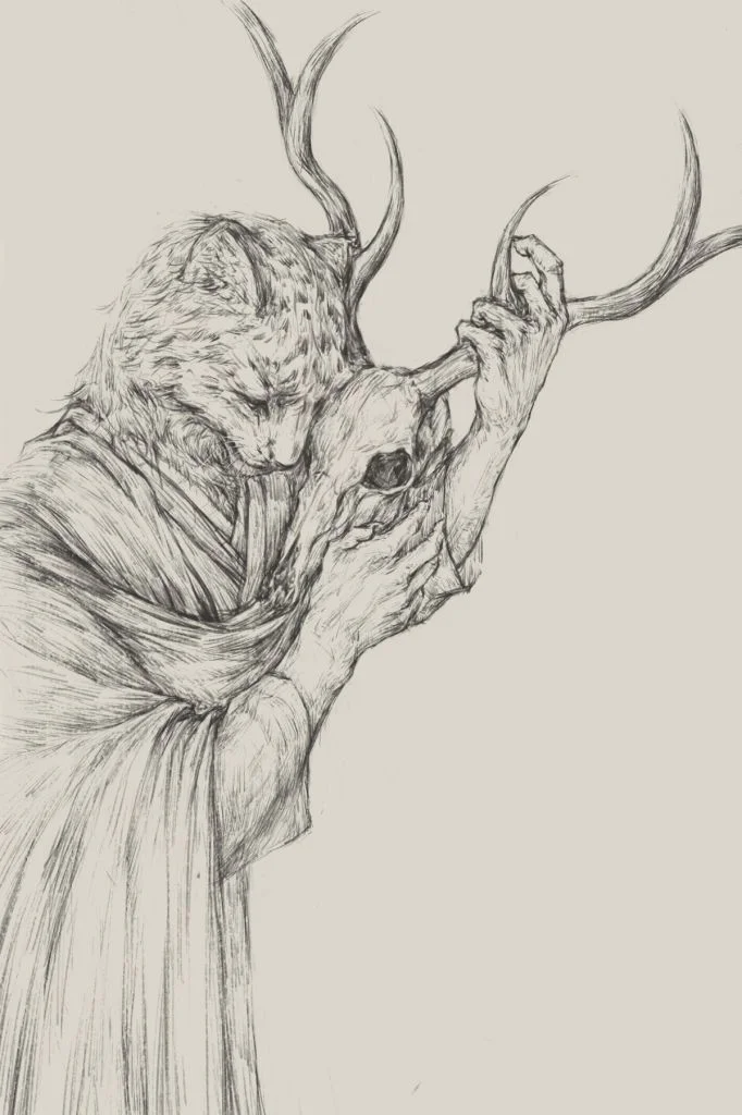 明信片 by 若愚Daz