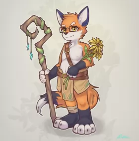 狐狸 by Mike