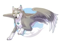 FLY