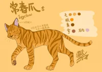 2015常春爪