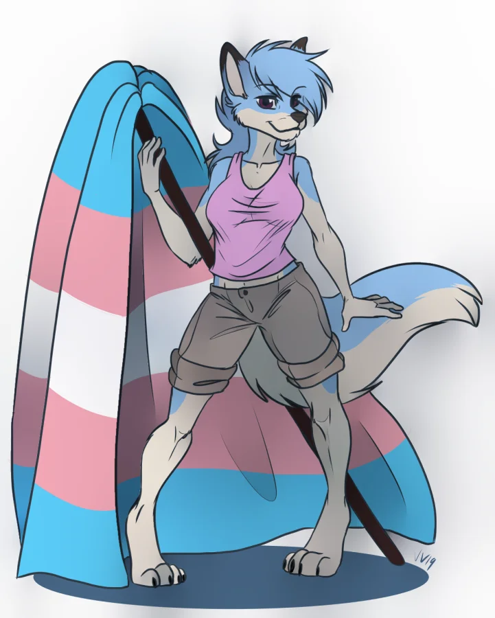 Trans flag (4) by vilani