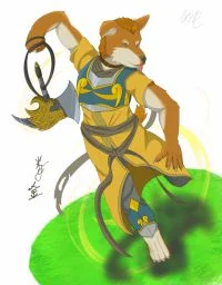 娄金星君