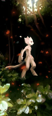 小白在森林里 by Dr.Fox
