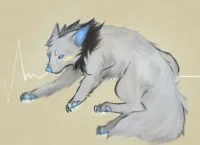 　 by 北鸠