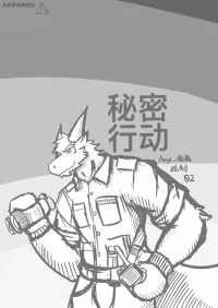秘密行动 封面