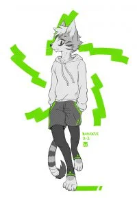 R-G-S-