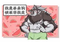 单身狗 by personazc