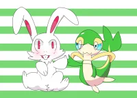 合影