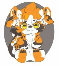 小萝卜