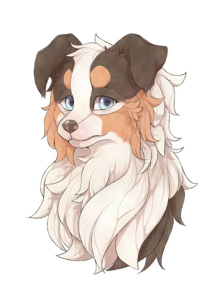 牧羊犬 by 瀨礿, 毛, 牧羊犬, 犬科, 狗
