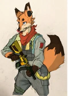 gogo！！fox！！