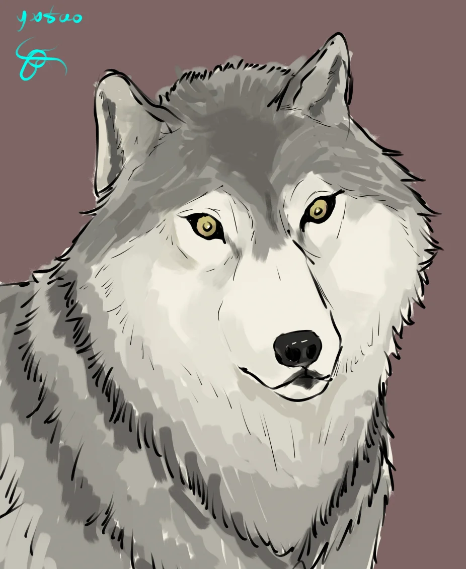 狼狼 by 意克尔斯·桃, 狼, wolf, furry