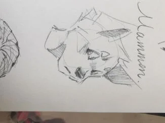 画福瑞那不是有手就行嘛