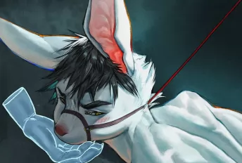 委托—局部