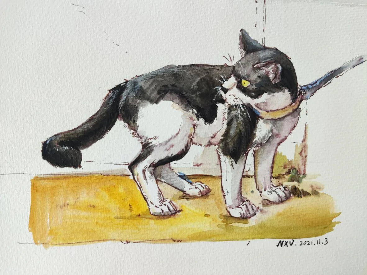 20211103写生——cat by 是逆向需求还是正向需求, 水彩