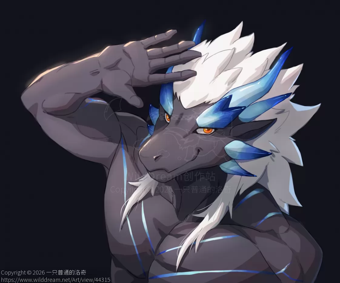 无 by 一只普通的洛奇