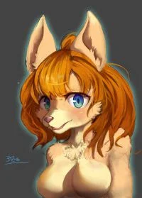 2015629 各種投372