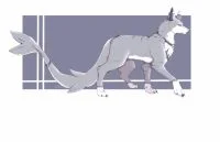 6.5客单