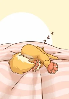 瞌睡的柴柴
