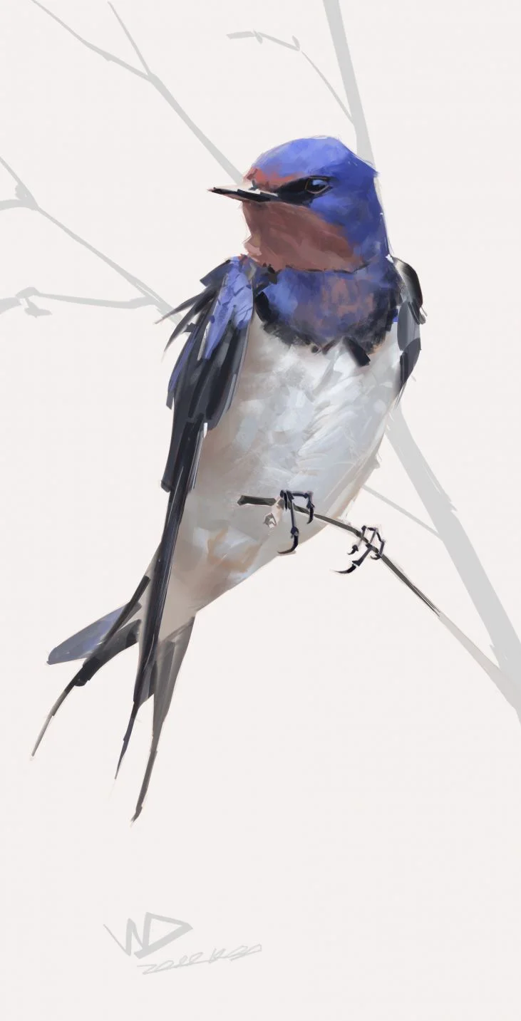 鳥 by 汪弟, #臨摹