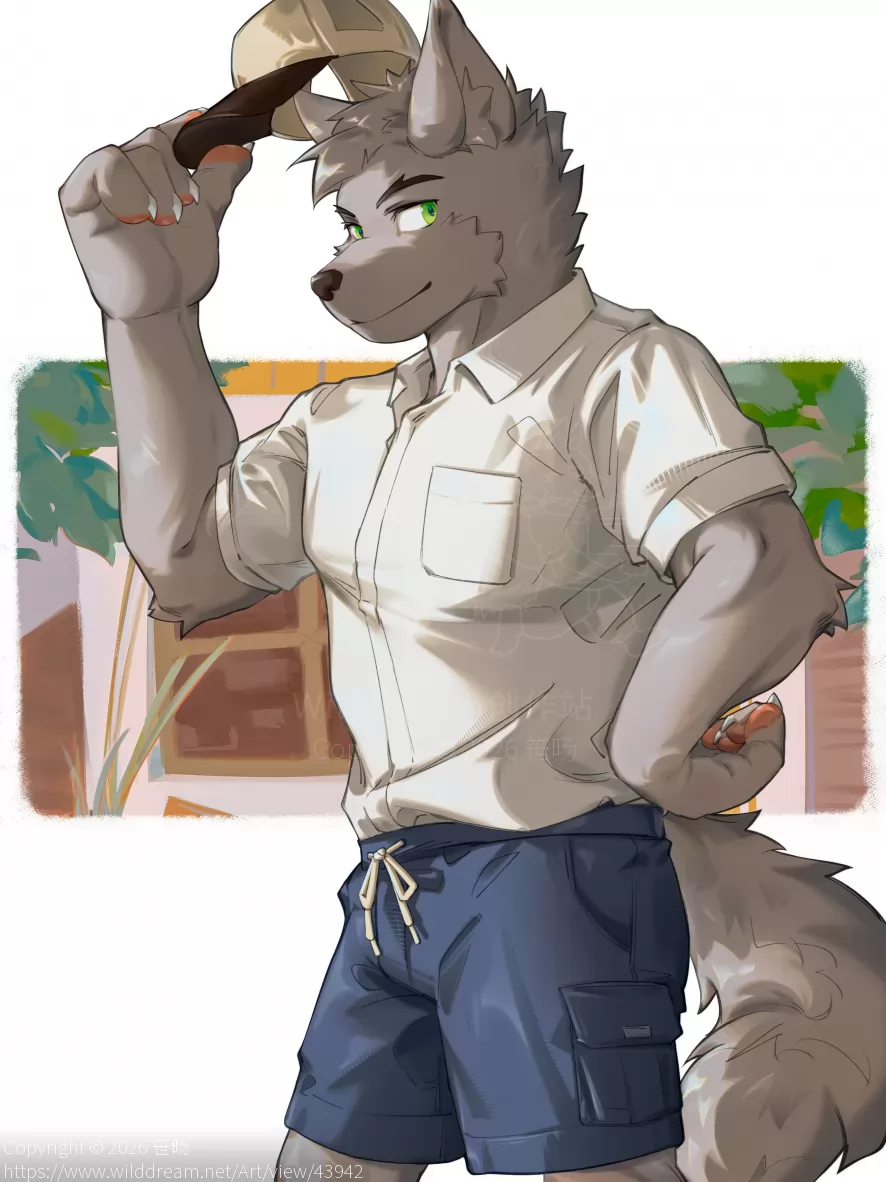 灰狼 by 笹旸