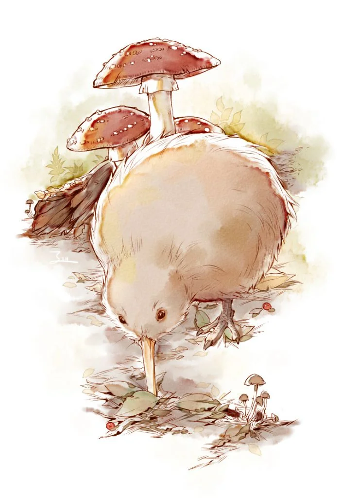 几维鸟 by 圭巢, 几维鸟