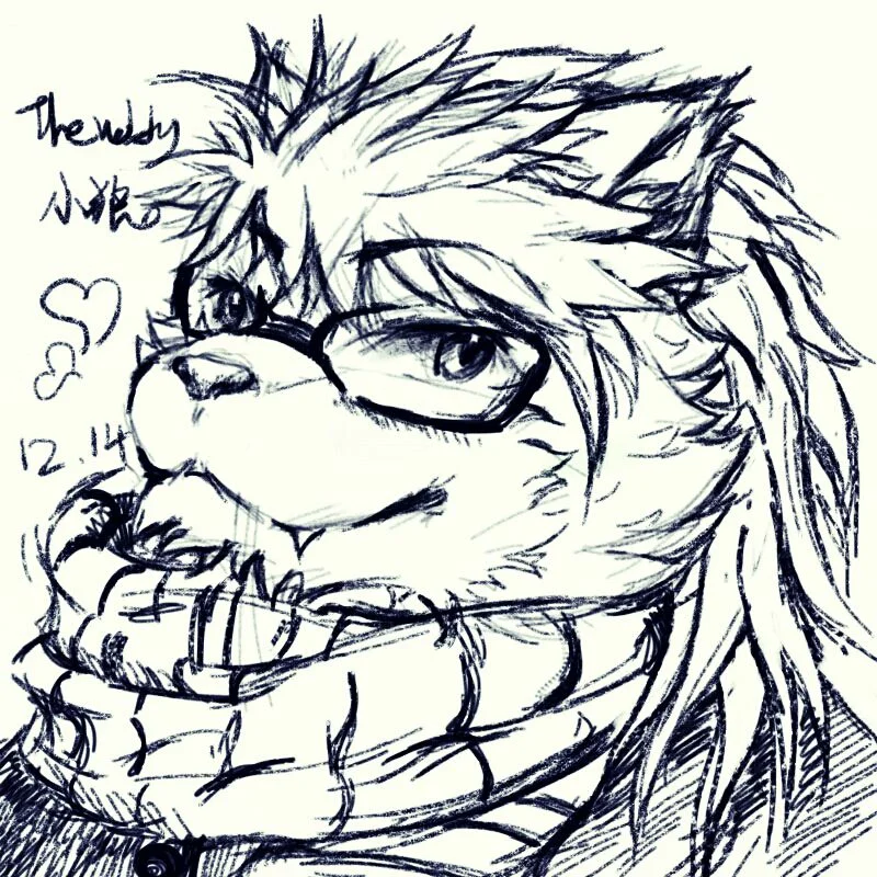 自设 by TheWolfy小狼丶