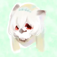 貓頭鷹