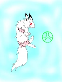 邪云兔