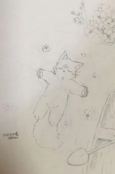 落花