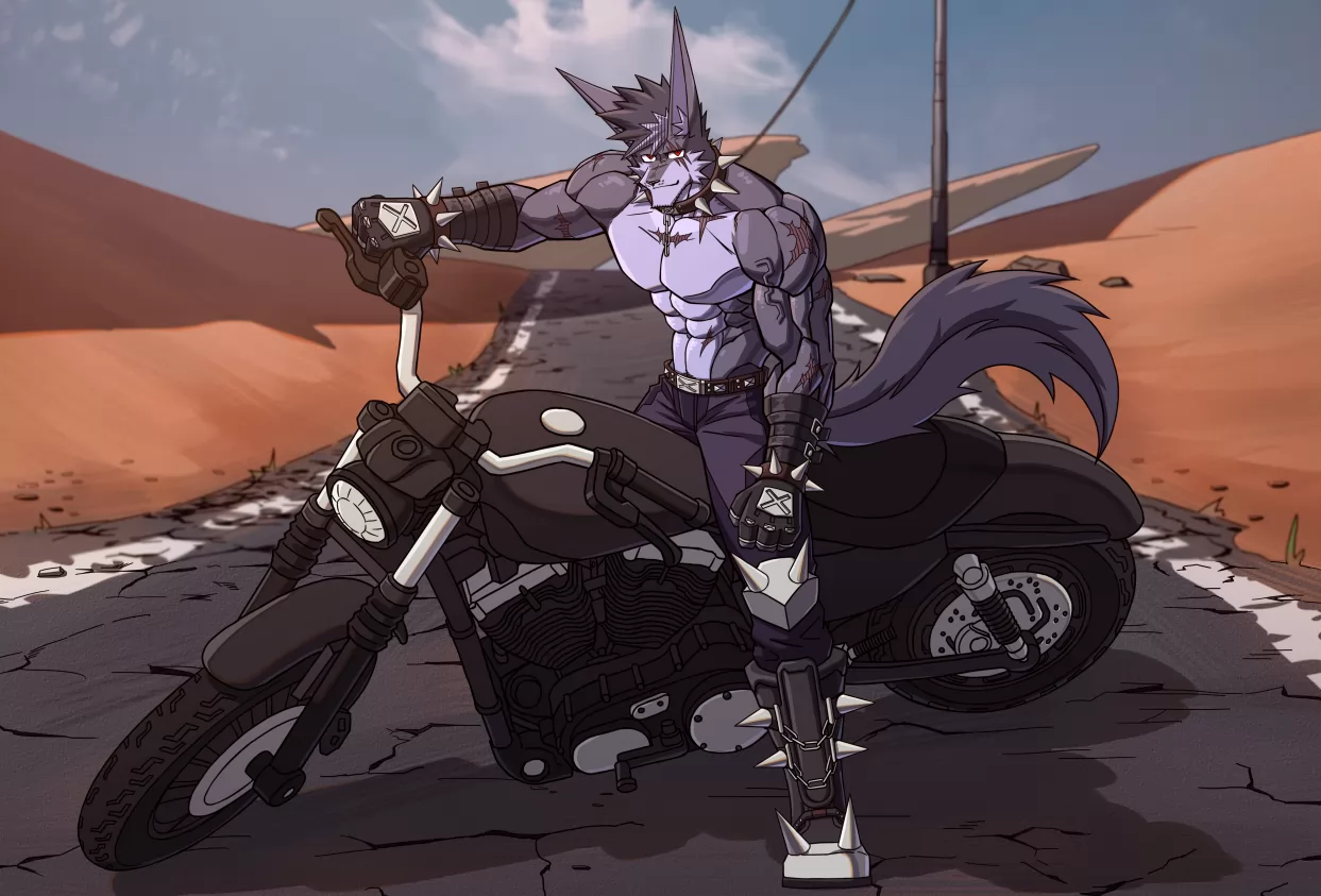 公路骑行 by 长耳狼