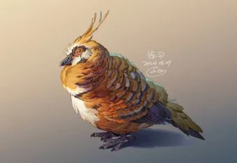 20240609-practice
