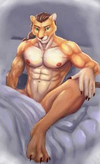 年轻狮