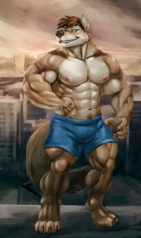 棕狼人 by 时间猫
