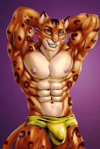 豹猫 by 时间猫