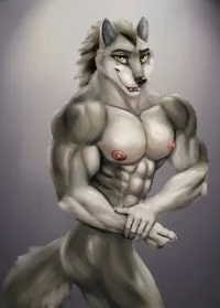 灰棕狼