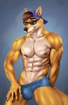 郊狼